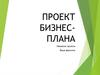 Проект бизнес-плана