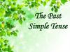 The Past Simple Tense