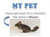 My Pet