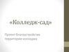 Проект благоустройства территории колледжа