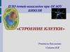 Строение клетки