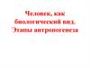 Человек, как биологический вид. Этапы антропогенеза