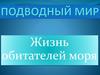 Подводный мир. Жизнь обитателей моря