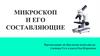 Микроскоп и его составляющие