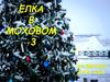 Елка в Моховом