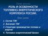 Роль и особенности топливно-энергетического комплекса России