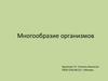 Многообразие организмов