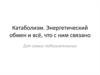 Катаболизм. Энергетический обмен и всё, что с ним связано