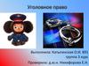 Уголовное право. Понятие преступления и виды преступлений