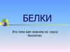 Белки