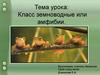 Класс земноводные или амфибии