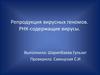 Репродукция вирусных геномов. РНК-содержащие вирусы