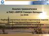 Анализ травматизма по ПАО МРСК Северо-Запада за 2018