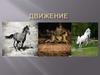 Движение. Движение бактерий
