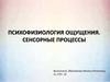 Психофизиология ощущения. Сенсорные процессы