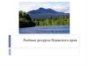 Рыбные ресурсы. Пермского края
