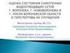 Оценка состояния самотечных водоотводящих сетей г. Воронежа, г. Нововоронежа и г. Лиски