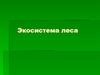 Экосистема леса