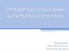Структура социально-культурной ситуации