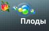 Плоды. Строение плода. Классификация плодов