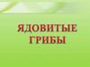 Ядовитые грибы