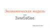 Экономическая модель Зимбабве
